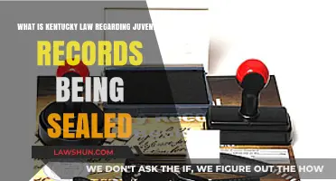Kentucky Juvenile Records: Understanding the Sealing Process and Legalities