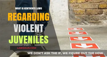 Understanding Kentucky's Juvenile Justice System: Laws for Violent Offenders