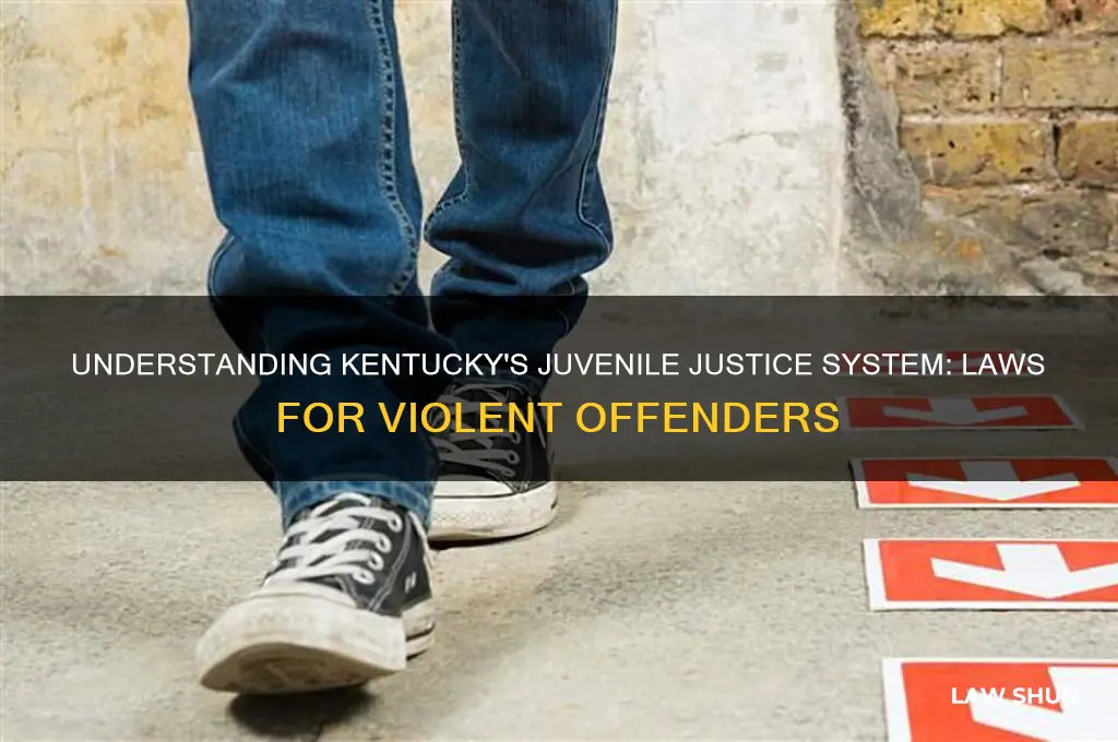 what is kentuckys laws regarding violent juveniles