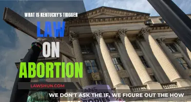 Kentucky's Abortion Trigger Law: Explained