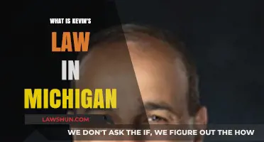 Understanding Kevin's Law: Michigan's Enhanced Penalties for Reckless Driving
