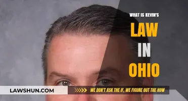 Understanding Kevin's Law: Ohio's Enhanced Penalties for Impaired Drivers