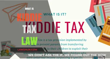 Understanding the Kiddie Tax Law: Rules for Minors
