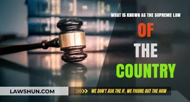 Understanding the Constitution: The Supreme Law of the Country