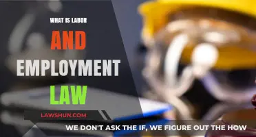 Understanding Labor and Employment Law: Rights, Responsibilities, and Workplace Regulations