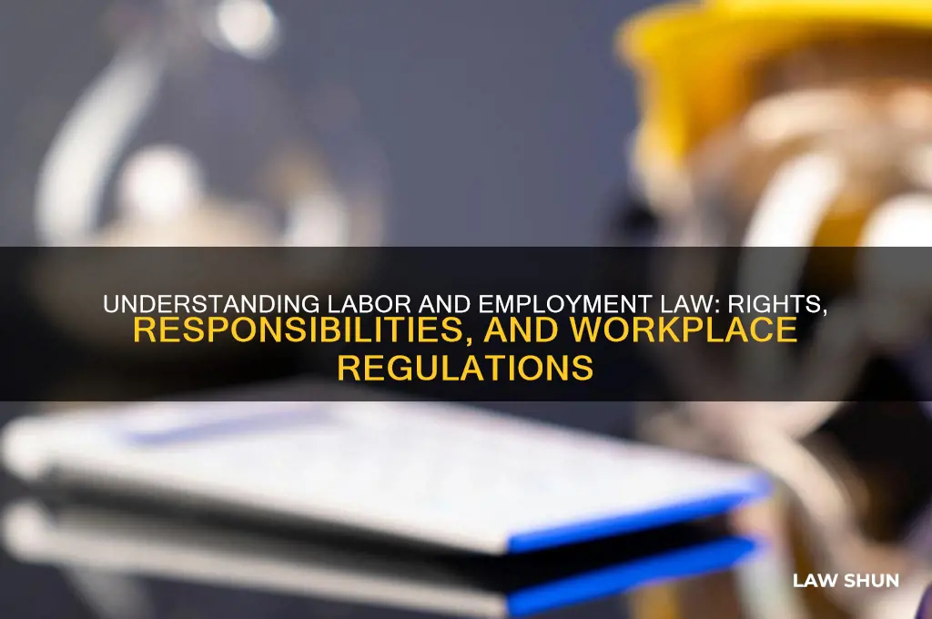 what is labor and employment law