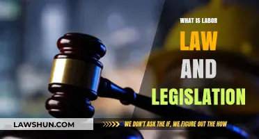 Understanding Labor Law: Essential Legislation for Workers and Employers