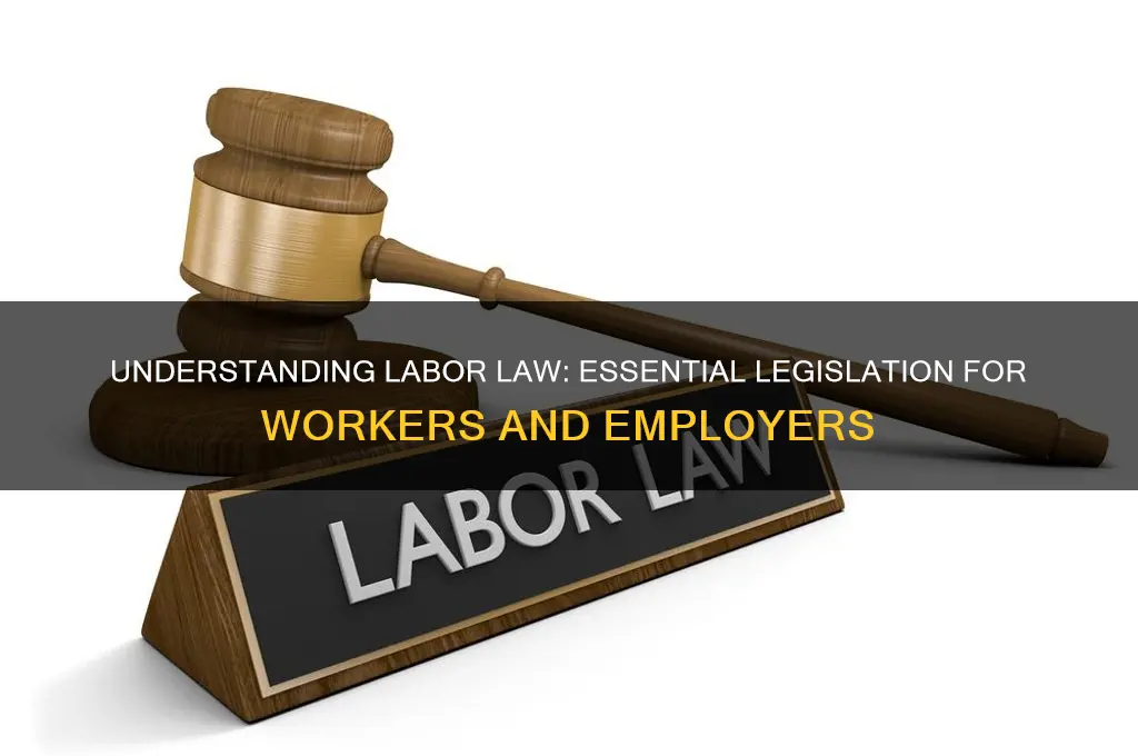 what is labor law and legislation