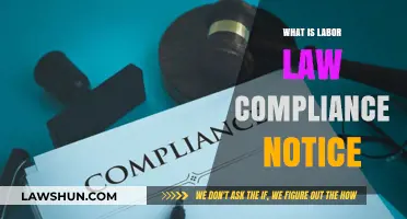 Understanding Labor Law Compliance Notices: Essential Insights for Employers