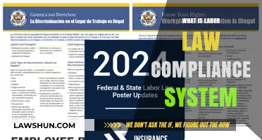 Understanding Labor Law Compliance Systems: Essential Tools for Businesses