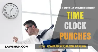 Missed Time Clock Punches: Understanding Labor Law Compliance and Consequences