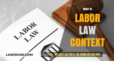 Understanding Labor Law: Context, Importance, and Real-World Applications