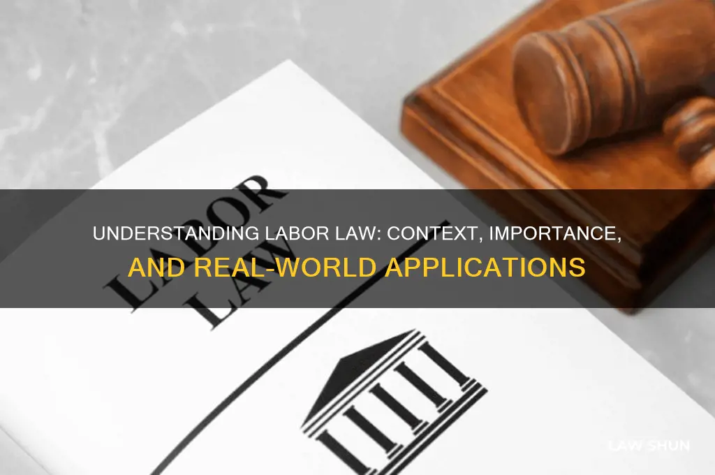 what is labor law context