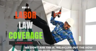 Understanding Labor Law Coverage: Rights, Protections, and Workplace Regulations Explained