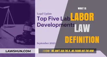 Understanding Labor Law: Definition, Scope, and Key Principles Explained