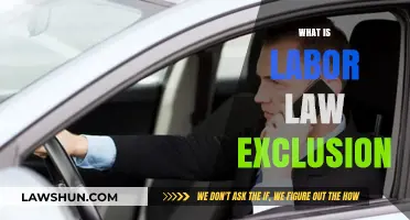 Understanding Labor Law Exclusion: Key Concepts and Implications Explained