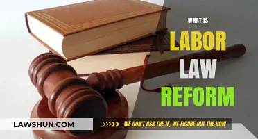 Understanding Labor Law Reform: Impact, Changes, and Worker Rights Explained