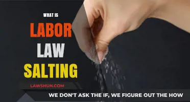 Understanding Labor Law Salting: Tactics, Implications, and Legal Insights
