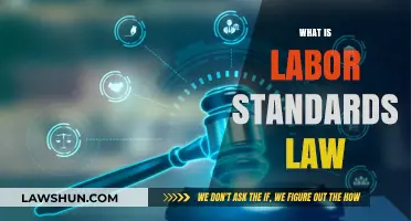 Understanding Labor Standards Law: Rights, Regulations, and Workplace Protections