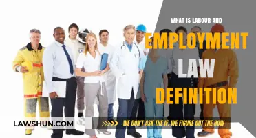 Understanding Labour and Employment Law: A Comprehensive Definition Guide