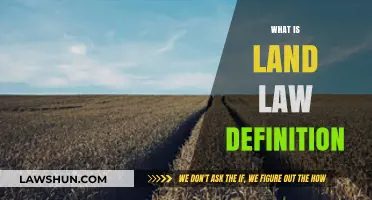 Understanding Land Law: A Comprehensive Definition and Legal Overview
