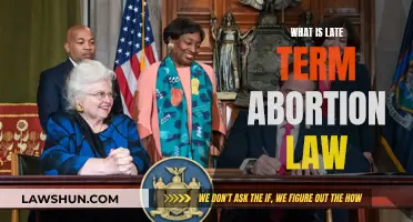 Late-Term Abortion Law: Understanding the Complexities and Controversies