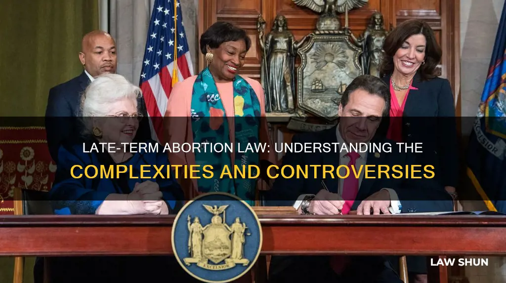 what is late term abortion law