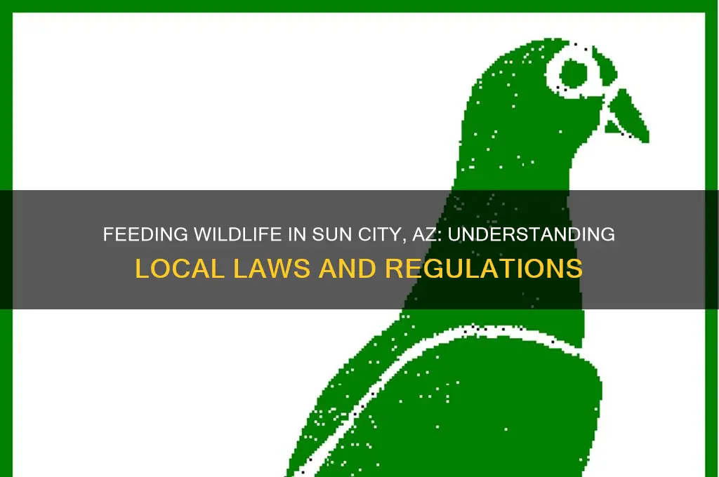 what is law about feeding wildlife in sun city az