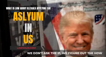 Understanding Asylum Law for Illegal Migrants in the US