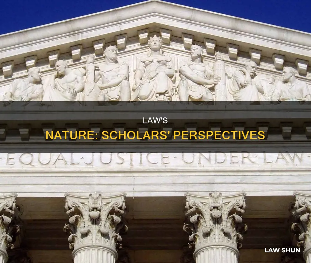 what is law according to different scholars