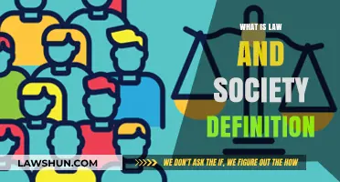 Understanding Law and Society: Definitions, Interactions, and Social Impact