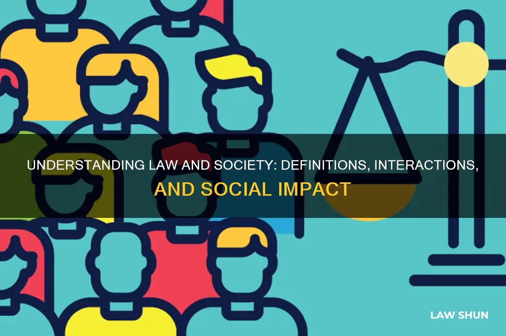 what is law and society definition