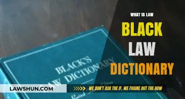 Exploring Legal Terminology: What is Black's Law Dictionary?