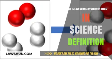 Understanding the Law of Conservation of Mass in Science