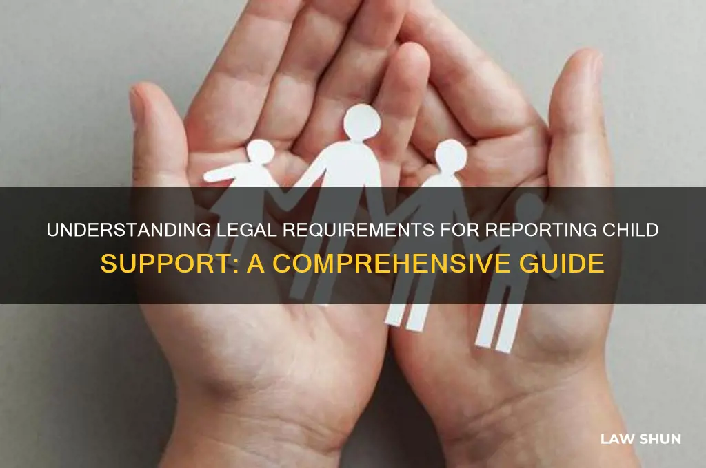 what is law code for reporting child support