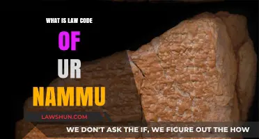 Exploring the Ancient Law Code of Ur-Nammu: A Historical Overview