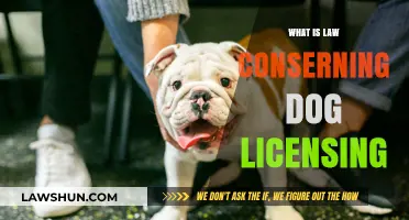 Dog Licensing: Understanding Legal Requirements and Responsibilities