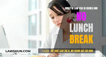 The Law and Long Work Hours: No Lunch, What Now?