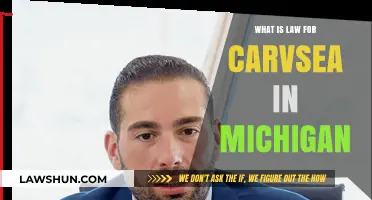 Understanding Michigan's Carvsea Law: Key Provisions and Implications