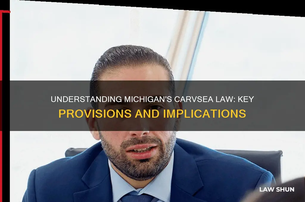 what is law for carvsea in michigan