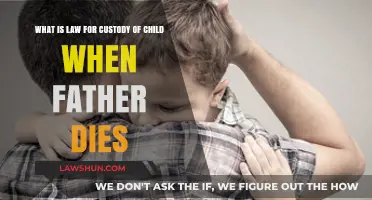Child Custody After Father's Death: Legal Rights and Responsibilities
