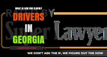 Georgia's Elderly Driver Laws: Understanding Regulations and Renewal Requirements