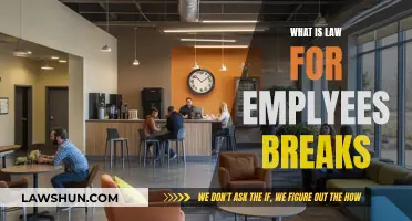 Understanding Employee Break Laws: Your Rights Explained