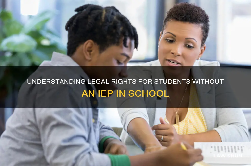 Understanding Legal Rights For Students Without An Iep In School | LawShun