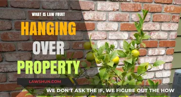 Understanding the Legal Implications of Fruit Hanging Over Your Property