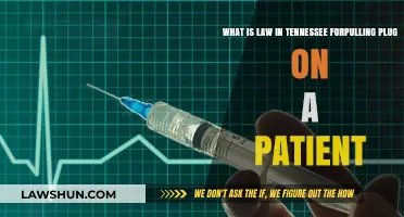 Tennessee's End-of-Life Laws: Understanding Patient Rights and Pulling the Plug