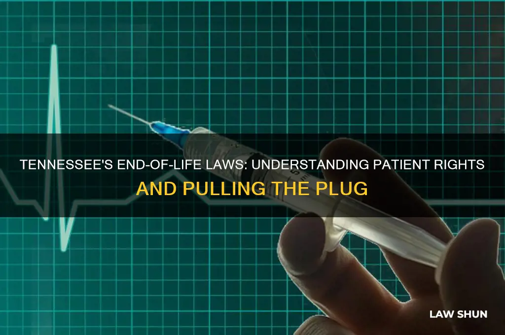 what is law in tennessee forpulling plug on a patient