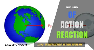 Exploring Newton's Third Law: Action and Reaction in Everyday Life