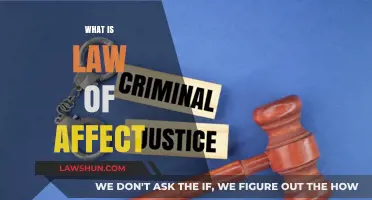 Understanding the Law of Affect: Emotions, Behavior, and Psychological Impact