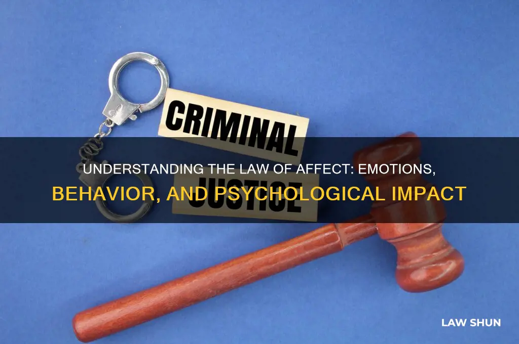 what is law of affect